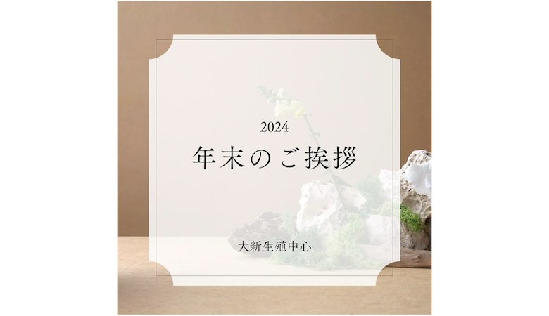 年末のご挨拶、2025年に向けて